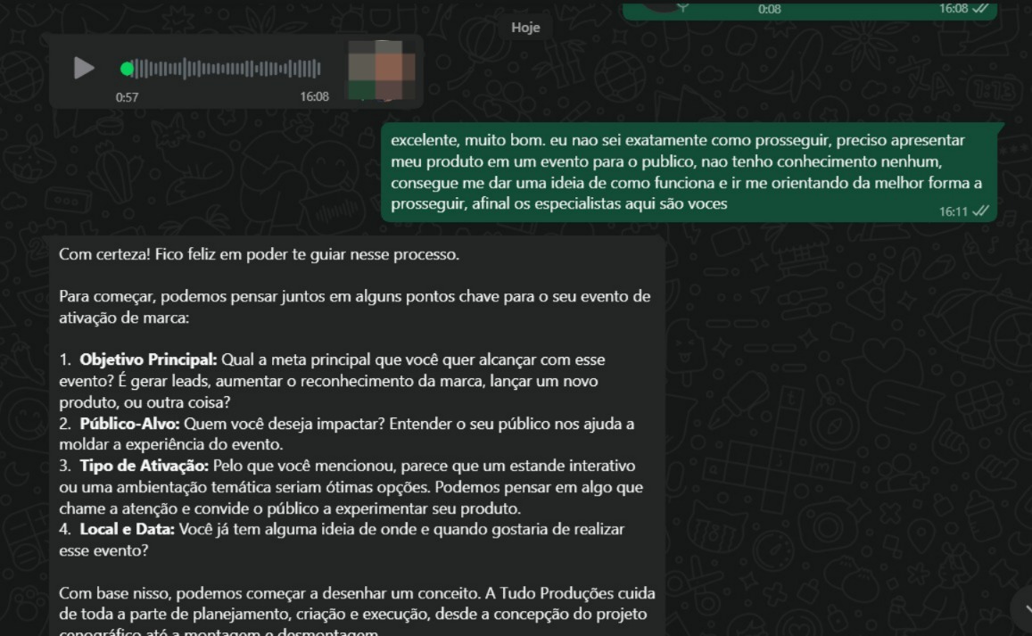 Conversa WhatsApp - Consultoria especializada para eventos